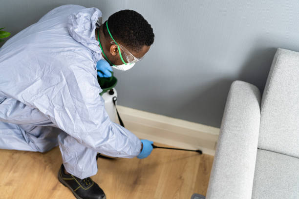 Best Pest Prevention Services  in Salamatof, AK